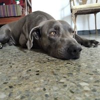 𝐎𝐬𝐰𝐚𝐥𝐝𝐨 𝐉𝐮á𝐫𝐞𝐳 𝐀. (@oswaldojuarez) 's Twitter Profile