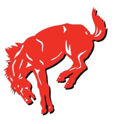 OHS Dual Sports Profile