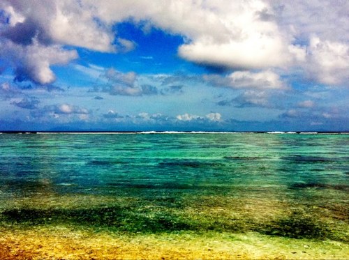 ddebcat's profile picture. 