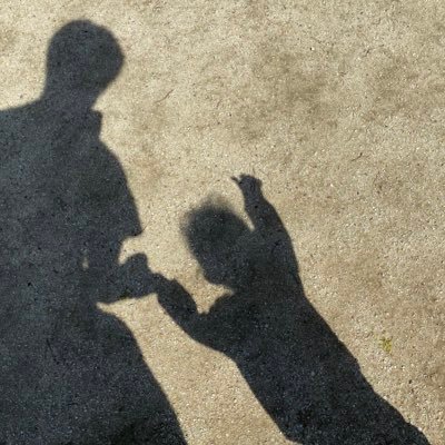 syotae's profile picture. よろしく☻