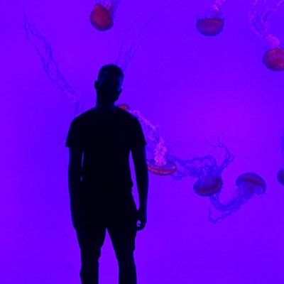 cuseGG's profile picture. Competitive VAL player. 23 y/o