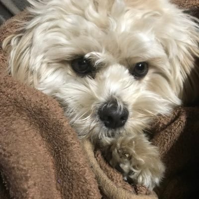 RFnm6Xq59MX9b8T's profile picture. 20代。