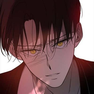 黴菌 MeiJunさんのプロフィール画像