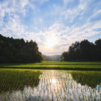 ｢CUCさんむ地域活性化プロジェクト｣は、千葉県山武市の人々と一緒に地域活性化に取り組んでいる、千葉商科大学人間社会学部のプロジェクトです。 Webページ出来ました。