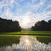 千葉商科大学　千葉県地域活性化プロジェクト（勅使河原ゼミ） (@sammu_tanbo) Twitter profile photo