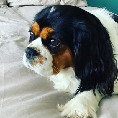 mitchellbudden's profile picture. Hi