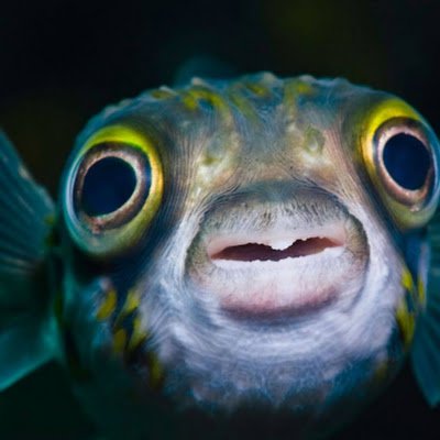 markadrianrico's profile picture. 