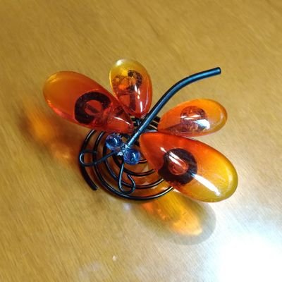朱とんぼ🐘さんのプロフィール画像