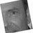 drebroeken's profile image