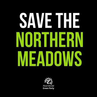 Community in Cardiff working to save 23 acres of biodiverse woodland and meadow land at Forest Farm 🐝🌳🦔🌾 Co-Locate Velindre #SaveTheNorthernMeadows
