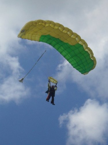 sianhburrows's profile picture. Crazy cat lady (certified)