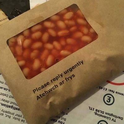 Kxtt_1's profile picture. H