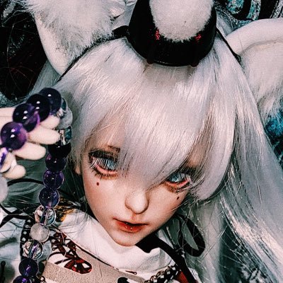 苑さんのプロフィール画像