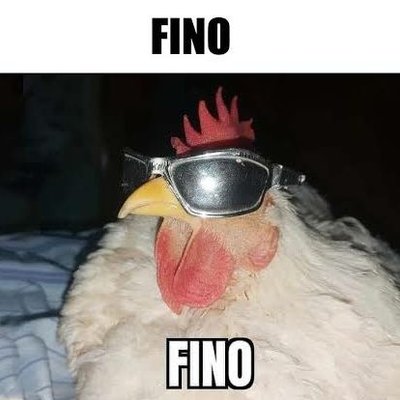 All posts by Fino Senhores