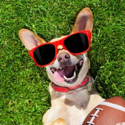 wersportshumor's profile picture. Sports humor related products that help you throw some shade and do some good at the same time. 10% of the profits will be donated to a collegiate non-profit.