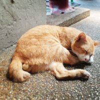 อีกด้านของน้ำหวานเอง 😉 (@namvan0869) 's Twitter Profile