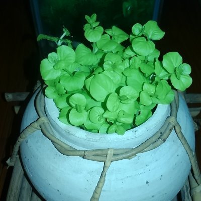 orangenosoda's profile picture. 三宅健さん応援中
可愛い好きIVY🙂
🕺🦄🪽👻🧸🚕