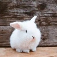 Merrill Natalie ❤️ Memecoin (@merrillnatalie2) 's Twitter Profile