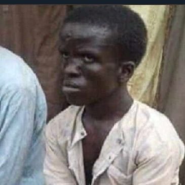 delvin_koech's profile picture. 