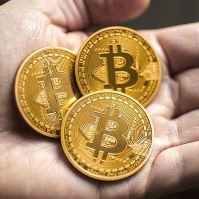 cryptomoney1990's profile picture. Crypto is Life