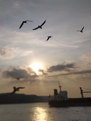 Ayegl06730455's profile picture. 