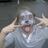 upagreen1's profile image