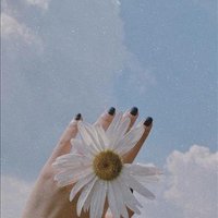 Evelyn LOGAN ❤️ Memecoin (@evelynl79724943) 's Twitter Profile