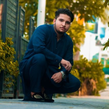 RajaHassan1801's profile picture. Graphic Designer,