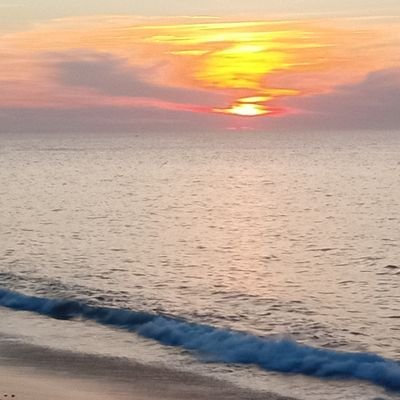 Jbb642's profile picture. Plus d'émotions