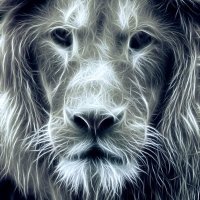 Frederic 🟡 ⚪️ 🟠🧱 (@hardassetinvest) 's Twitter Profile