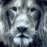 hardassetinvest's profile picture. #preciousmetals, #mining, #basemetals, #realestate, #construction, #commodities