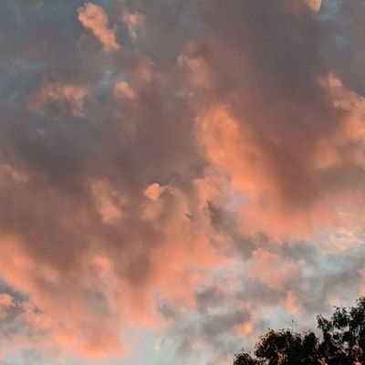 LambdaZOne's profile picture. Dad, Foodie, Futurist, Wheelchair User, Multiple Sclerosis Survivor