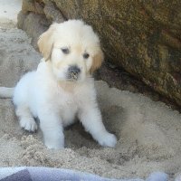 Motion (@notmotionn) 's Twitter Profile