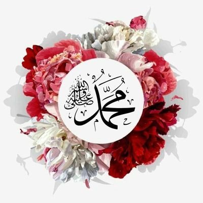 Follow👉  @Najampeer1987  💯F🔙
#تاجدارختم_نبوت_زندەآباد