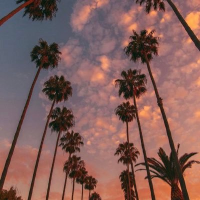 user57736hds56h's profile picture. 