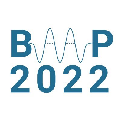 Official Twitter account of BAAP2022 - a virtual conference organised by @UoYLangLing, 4-8 April 2022