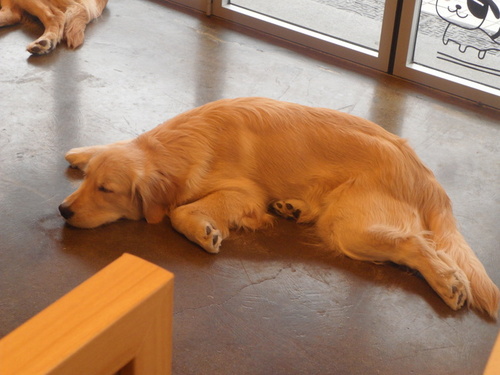 Eunchan2s's profile picture. -