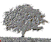 celtnetrecipes's profile picture. Celticist with an interest in ancient recipes, running a large recipe site.