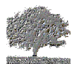 Dyfed Lloyd Evans - @celtnetrecipes - Twitter