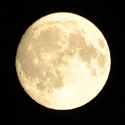 散木まゐてさんのプロフィール画像
