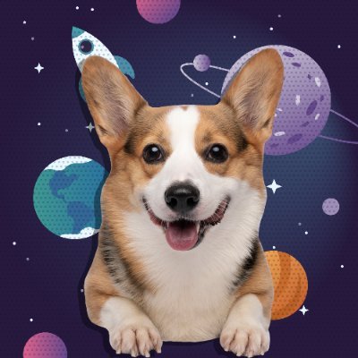 The 1st real life corgi living on blockchain🪐 Alpha dog for @Cheeky_Corgi #NFT collectibles. #goodvibeonly 💕