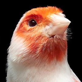 EVOLGEN Profile