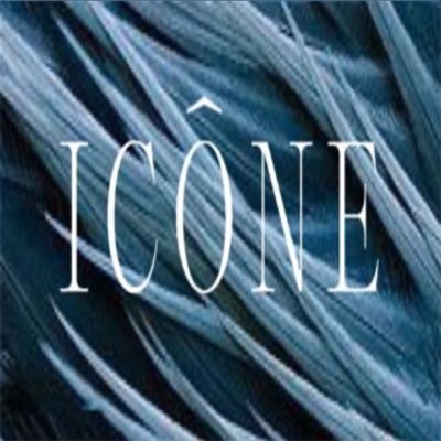 Icone interiors