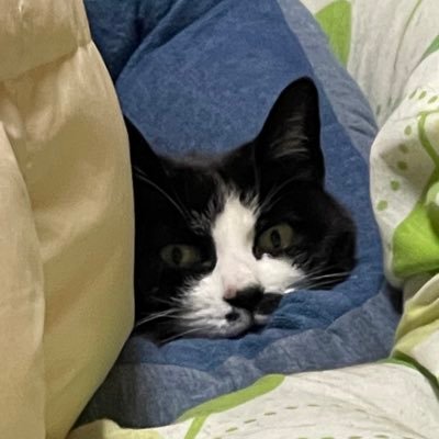 fuji55419's profile picture. ボチボチ頑張ろ