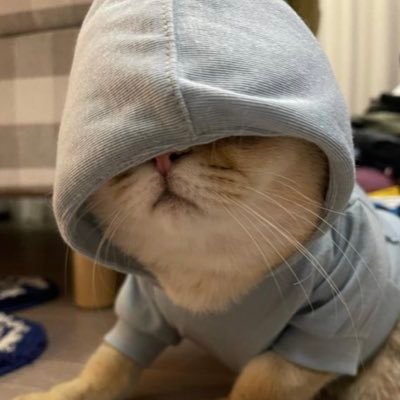 lilisa85929567's profile picture. 