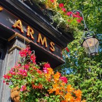 The Artillery Arms(@artilleryarms) 's Twitter Profileg