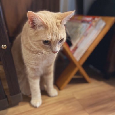 2001_amika's profile picture. 見る用