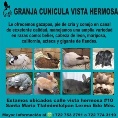 Se asen trabajos de herrería y estructura también ala venta de conejos de granja 7227743110