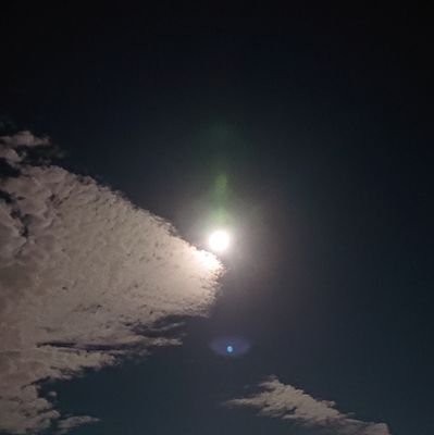 KAITO51444772's profile picture. 海斗🎹