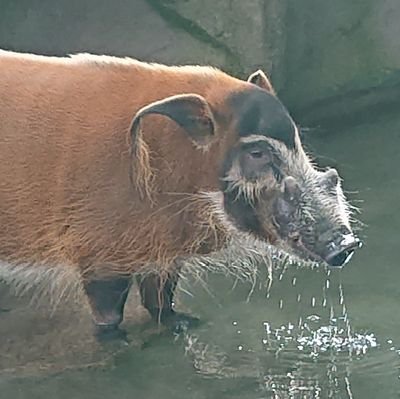 今泉さんのプロフィール画像